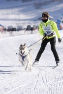 Lenk 2013